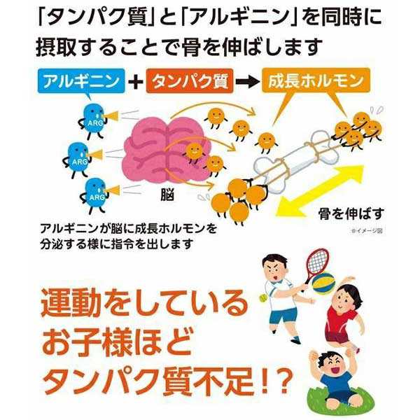 ジュニア プロテイン NOBITA ソイプロテイン ノビタ 600g 成長サポート 身長 体づくり FD0002の通販はau PAY マーケット -  PRO SHOP SUNCABIN-サンキャビン-