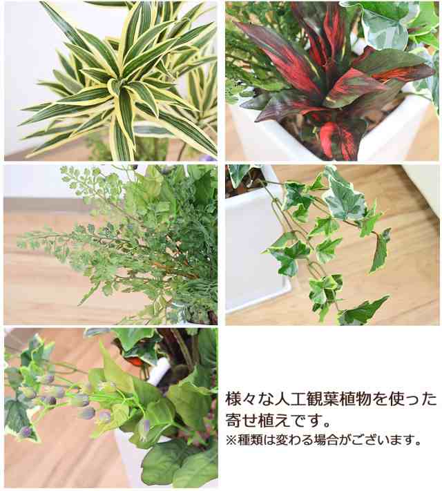 送料無料 人工観葉植物 寄せ植え ドラセナ ソングオブインディア 陶器鉢 造花 インテリア フェイク 人気 お祝い ギフト の通販はau Pay マーケット フラワーコーポレーション