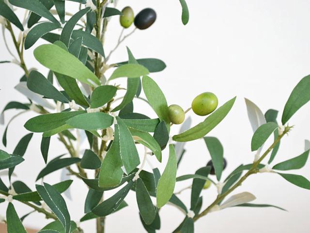 人工観葉植物 オリーブ実付き スクエア陶器鉢 光触媒加工/S【造花/インテリア/フェイク/人気/お祝い/ギフト/プレゼント/開店祝い/新築祝_1