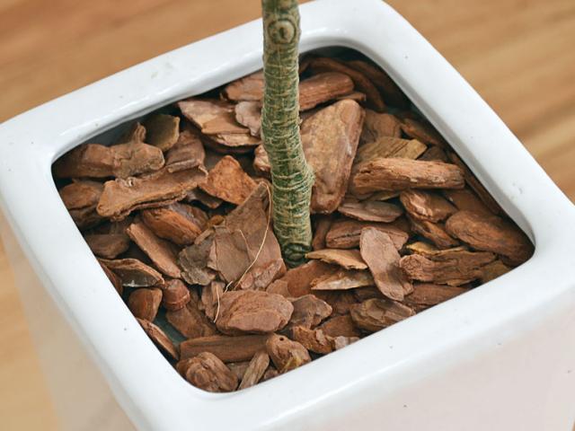 人工観葉植物 オリーブ実付き スクエア陶器鉢 光触媒加工/S【造花/インテリア/フェイク/人気/お祝い/ギフト/プレゼント/開店祝い/新築祝_2