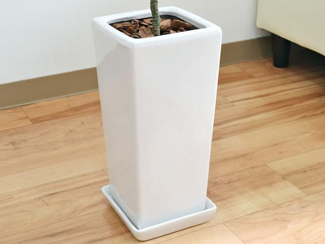 人工観葉植物 オリーブ実付き スクエア陶器鉢 光触媒加工/S【造花/インテリア/フェイク/人気/お祝い/ギフト/プレゼント/開店祝い/新築祝_3