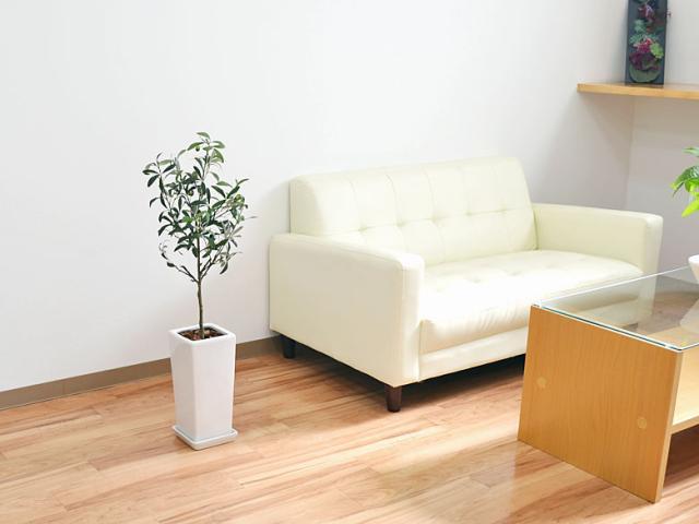 人工観葉植物 オリーブ実付き スクエア陶器鉢 光触媒加工/S【造花/インテリア/フェイク/人気/お祝い/ギフト/プレゼント/開店祝い/新築祝_4