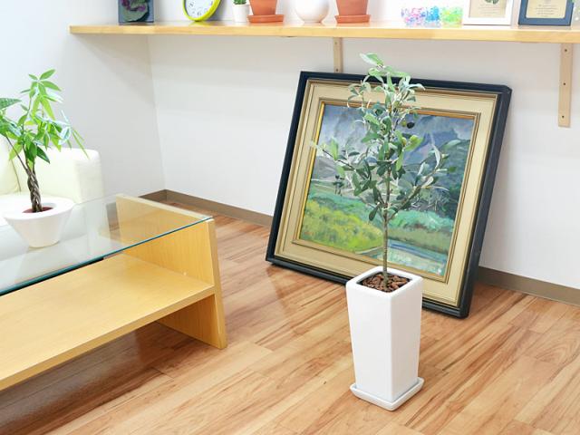 人工観葉植物 オリーブ実付き スクエア陶器鉢 光触媒加工/S【造花/インテリア/フェイク/人気/お祝い/ギフト/プレゼント/開店祝い/新築祝_5