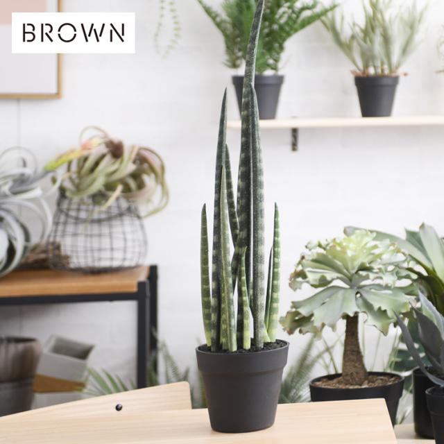 Brown. ブラウン サンセベリア ポット 991590 観葉植物 フェイクグリーン インテリアグリーン 多肉 多肉植物 鉢 おしゃれ ボタニカル グリーンディスプレイ リビング 玄関 カフェ 店舗