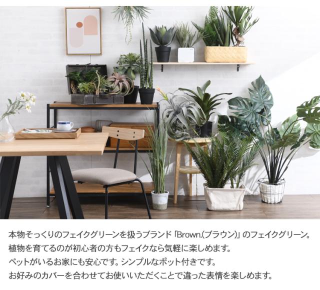 Brown. ブラウン キセログラフィカ ピック 花付 991170 観葉植物 造花 フェイクグリーン インテリアグリーン ボタニカル 北欧 ンテリア ボタニカル グリーンディスプレイ リビング 玄関 カフェ 店舗_1
