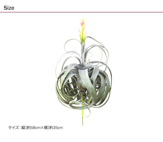 Brown. ブラウン キセログラフィカ ピック 花付 991170 観葉植物 造花 フェイクグリーン インテリアグリーン ボタニカル 北欧 ンテリア ボタニカル グリーンディスプレイ リビング 玄関 カフェ 店舗_6