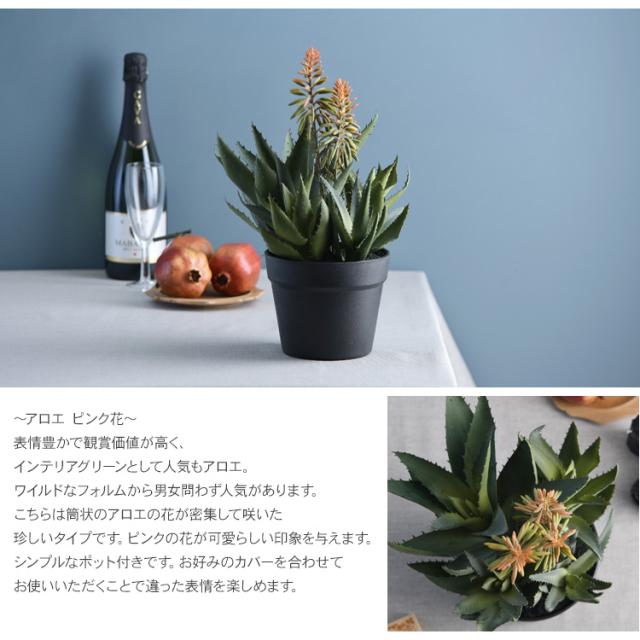 Brown. ブラウン アロエ ピンク花 ポット 992480 観葉植物 フェイクグリーン インテリアグリーン 卓上 ミニ 多肉 多肉植物 鉢 おしゃれ ボタニカル グリーンディスプレイ リビング 玄関 カフェ 店舗_2