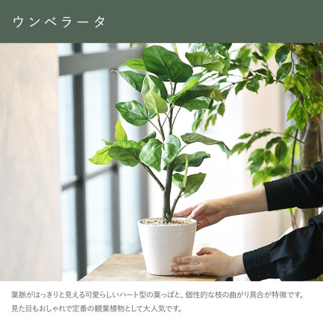 ウンベラータ ポット GLA-1440-GR 観葉植物 フェイクグリーン インテリアグリーン リラックス 癒し 造花 北欧 ンテリア 鉢植 ボタニカル グリーンディスプレイ リビング 玄関 カフェ 店舗_3