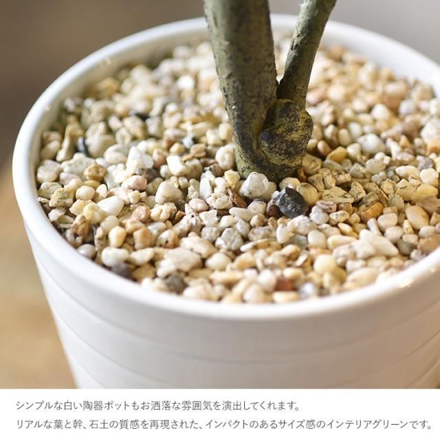 ウンベラータ ポット GLA-1440-GR 観葉植物 フェイクグリーン インテリアグリーン リラックス 癒し 造花 北欧 ンテリア 鉢植 ボタニカル グリーンディスプレイ リビング 玄関 カフェ 店舗_4