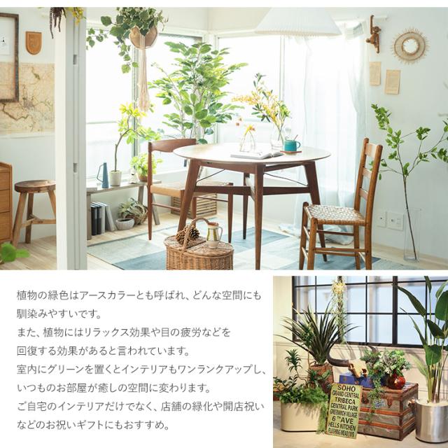 ウンベラータ ポット GLA-1440-GR 観葉植物 フェイクグリーン インテリアグリーン リラックス 癒し 造花 北欧 ンテリア 鉢植 ボタニカル グリーンディスプレイ リビング 玄関 カフェ 店舗_6