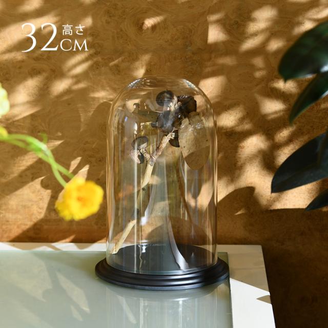 ディスプレイ ポリカーボネート ドーム型台付き 高さ32cm 割れにくい 透明 飾り ドーム クリア 【送料無料】の通販は 7,920円