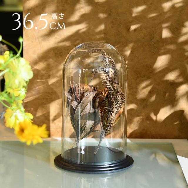 ディスプレイ ポリカーボネート ドーム型台付き 高さ36.5cm 割れにくい 透明 飾り ドーム クリア      【送料無料】