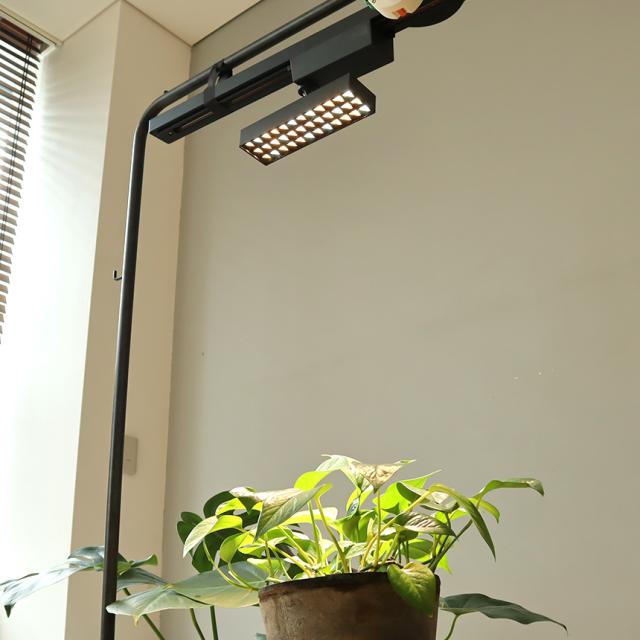 LED SPOT LIGHT for PLANTS 20W 植物ライト ダクトレール 電源 室内 インテリア 多肉 植物 園芸 育成 家庭菜園 栽培 【送料無料】_1