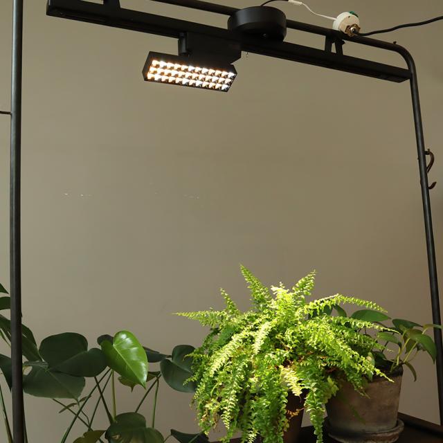 LED SPOT LIGHT for PLANTS 20W 植物ライト ダクトレール 電源 室内 インテリア 多肉 植物 園芸 育成 家庭菜園 栽培 【送料無料】_3