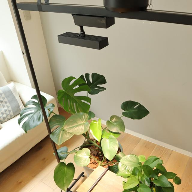 LED SPOT LIGHT for PLANTS 20W 植物ライト ダクトレール 電源 室内 インテリア 多肉 植物 園芸 育成 家庭菜園 栽培 【送料無料】_4
