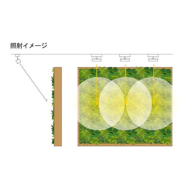 LED SPOT LIGHT for PLANTS 20W 植物ライト ダクトレール 電源 室内 インテリア 多肉 植物 園芸 育成 家庭菜園 栽培 【送料無料】_7