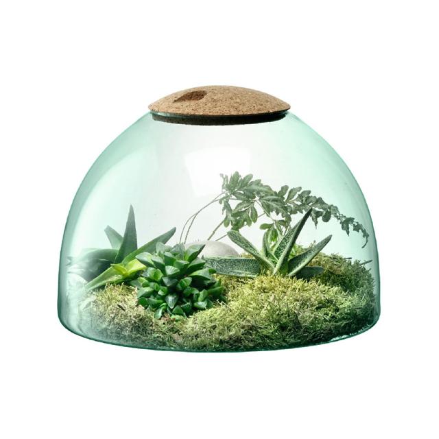 LSA International ガラスドーム Canopy キャノピー Closed Garden Clear H22cm ハイドロカルチャー 【送料無料】_2
