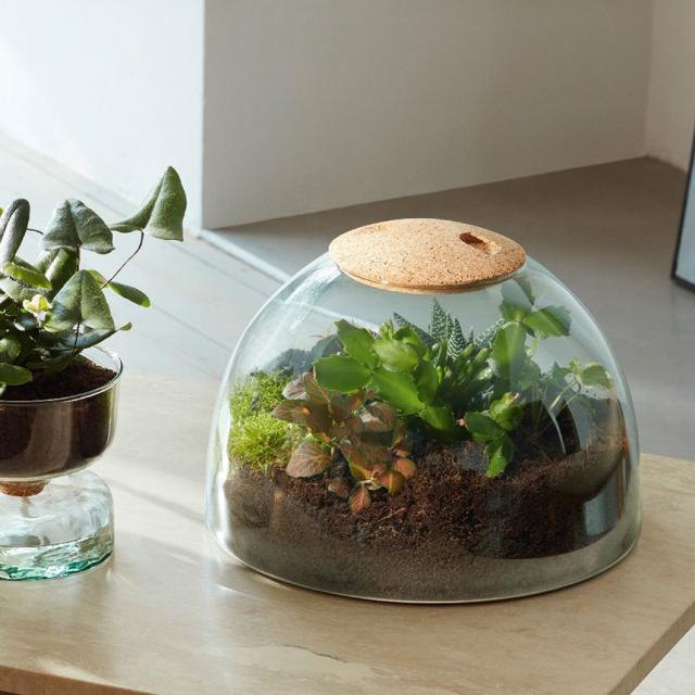 LSA International ガラスドーム Canopy キャノピー Closed Garden Clear H22cm ハイドロカルチャー 【送料無料】_3
