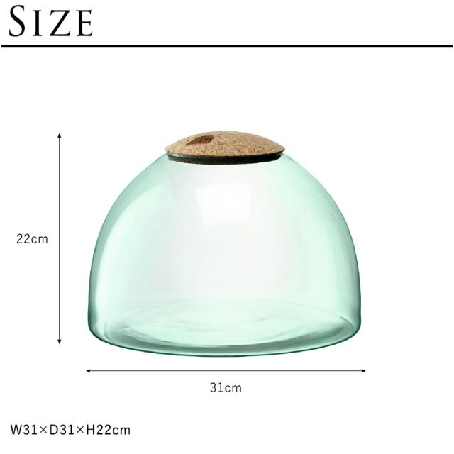 LSA International ガラスドーム Canopy キャノピー Closed Garden Clear H22cm ハイドロカルチャー 【送料無料】_5