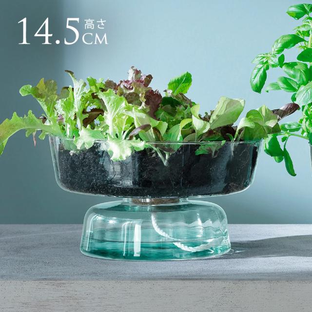 LSA International フラワーベース CANOPY SELF WATERING PLANT 【送料無料】の通販は