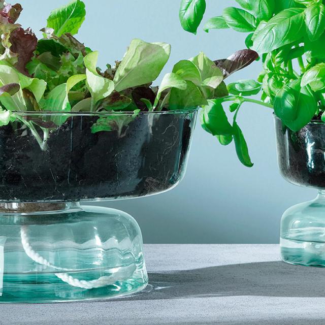 LSA International フラワーベース CANOPY SELF WATERING PLANT
