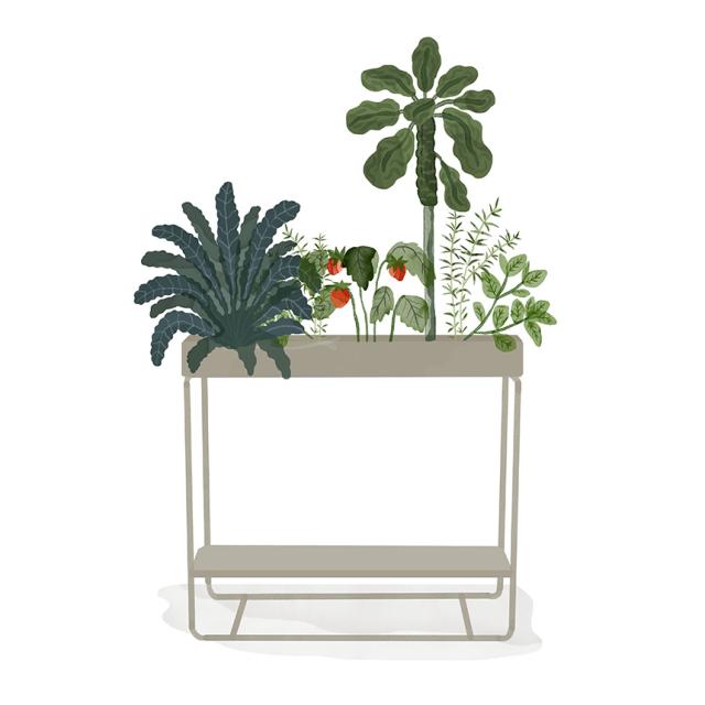 ferm LIVING ファームリビング プラントボックス Two Tier 【送料無料】_6