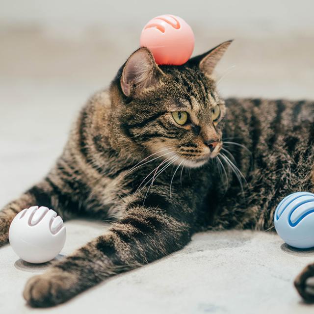 Pidan ピダン Cat Toy Ball 猫用おもちゃボール ボール 猫おもちゃ ネコグッズ 猫グッズ 猫 の通販はau Wowma Lifeit ライフイット