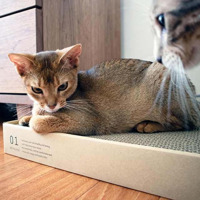 Necono ネコノ 猫の爪とぎ 日本製 猫 爪とぎ つめとぎ スクラッチャー