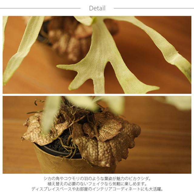 Brown. ブラウン フェイクグリーン ビカクシダ ポット 58cm 観葉植物 フェイクグリーン おしゃれ 造花 ディスプレイ_2