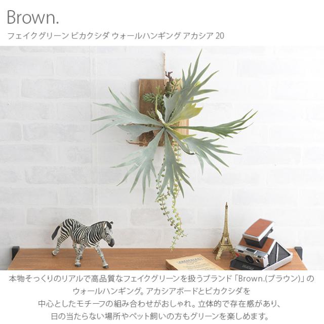 Brown. ブラウン フェイクグリーン ビカクシダ ウォールハンギング アカシア 20 フェイクグリーン 壁掛け ハンギング おしゃれ 壁 グリーン インテリア 造花 植物 ペット_1