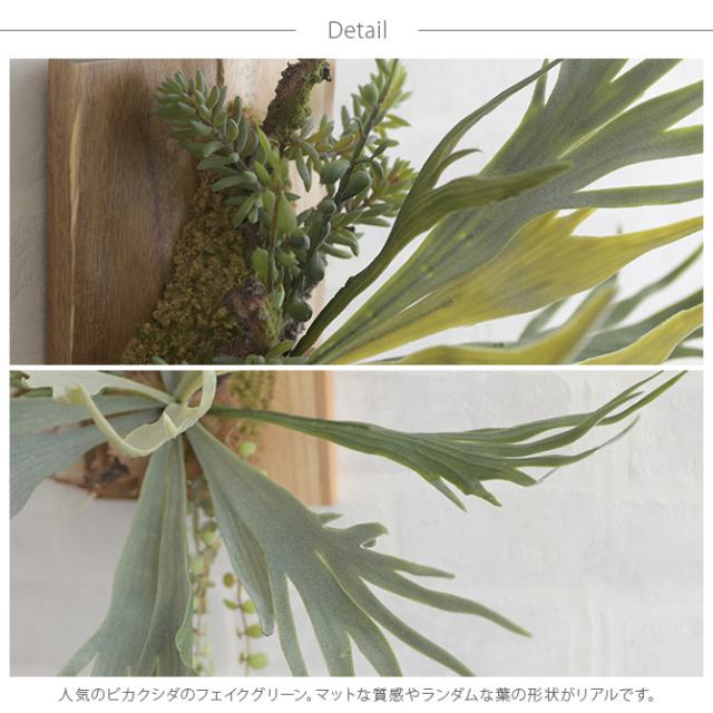 壁掛け ハンギング おしゃれ 壁 Brown. 🎆 ブラウン 【コットン】 フェイクグリーン ビカクシダ ウォールハンギング アカシア 30