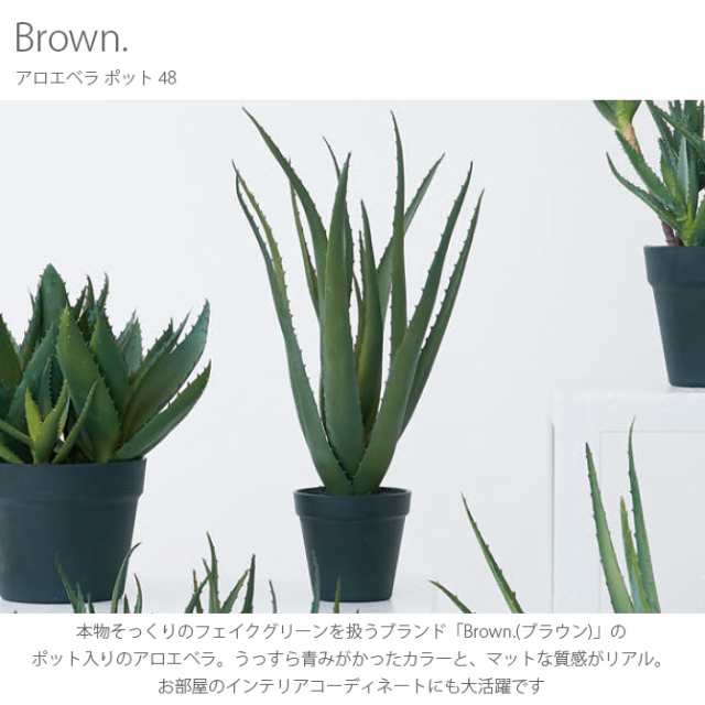 Brown ブラウン アロエベラ ポット 48 観葉植物 フェイクグリーン 造花 アロエ ポット 鉢 おしゃれ リアル 多の通販はau Pay マーケット Lifeit ライフイット