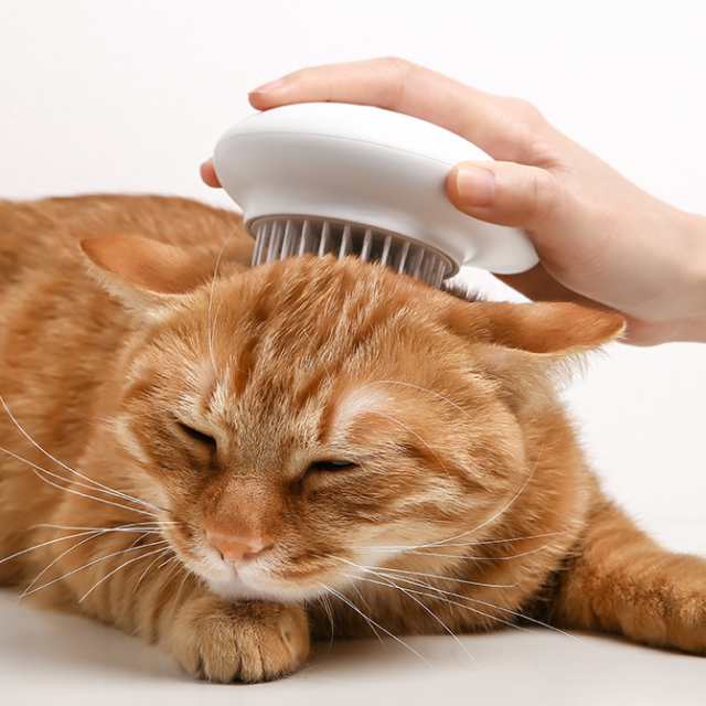 Pidan ピダン Pet Brush Q 猫用ブラシ 猫用 猫 ブラシ 毛取り くし の通販はau Pay マーケット Lifeit ライフイット