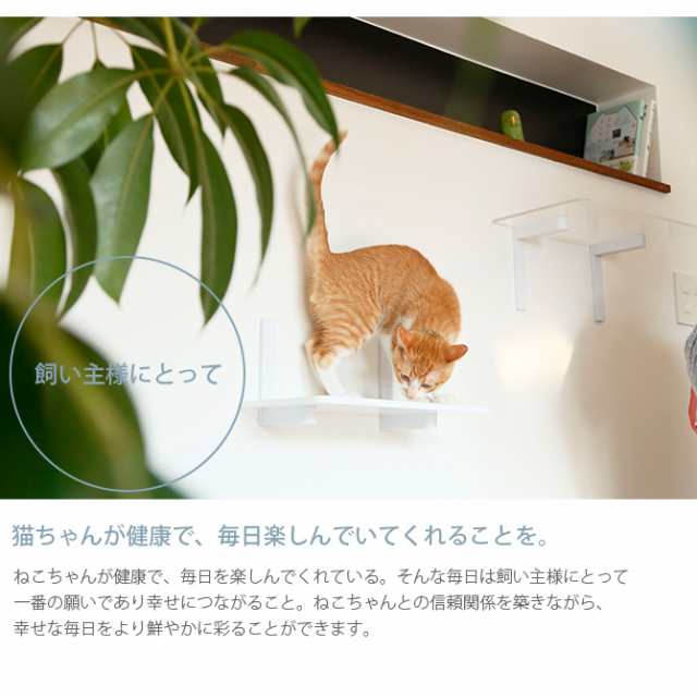 animacolle アニマコレ Catroad+ キャット ワイドステップクリア 猫 キャットステップ キャットウォーク 壁 DIY の通販はau  PAY マーケット Lifeit（ライフイット） au PAY マーケット－通販サイト