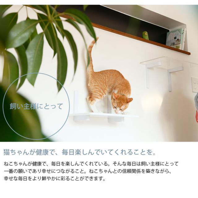 animacolle アニマコレ Catroad+ ワイドステップ 3点セット（ クリア3