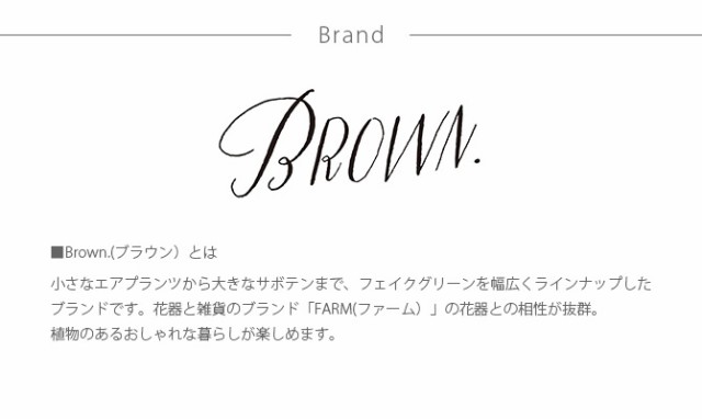 Brown. ブラウン 柱サボテン ポット 91 柱サボテン フェイクグリーン