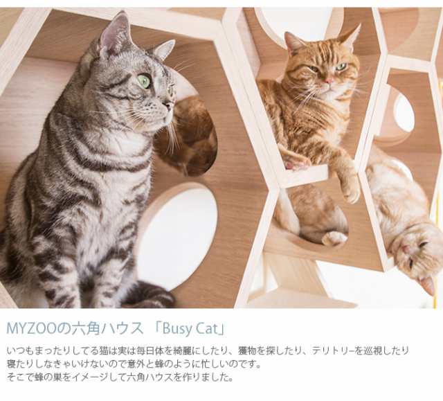 猫 キャットハウス スツール 六角 木製 キャットステップ MYZOO マイズー Busy Cat専用 Cover Plate カバープレート