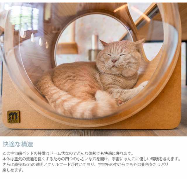 MYZOO マイズー Spaceship Alpha Wood 宇宙船 アルファ ウッド 猫