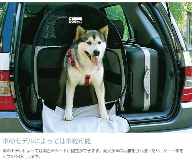 egr イージーアール DOGBAG ドッグバッグ M 犬用 ペット用 ペットテント テント アウトドア 屋外 野外 折りたたみ コンパクト 軽量_3