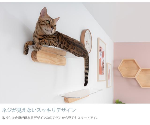 MYZOO マイズー OBLONG 透明キャットステップ 60cm 猫用 キャットステップ キャットウォーク 壁付け 壁掛け クリア アクリル 猫用家具 キャットタワー_2