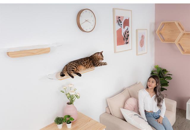 MYZOO マイズー OBLONG 透明キャットステップ 60cm 猫用 キャットステップ キャットウォーク 壁付け 壁掛け クリア アクリル 猫用家具 キャットタワー_6