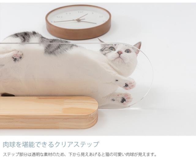 MYZOO 透明キャットステップＬサイズ90センチ MYZOO マイズー OBLONG 透明キャットステップ 90cm 猫用 キャット
