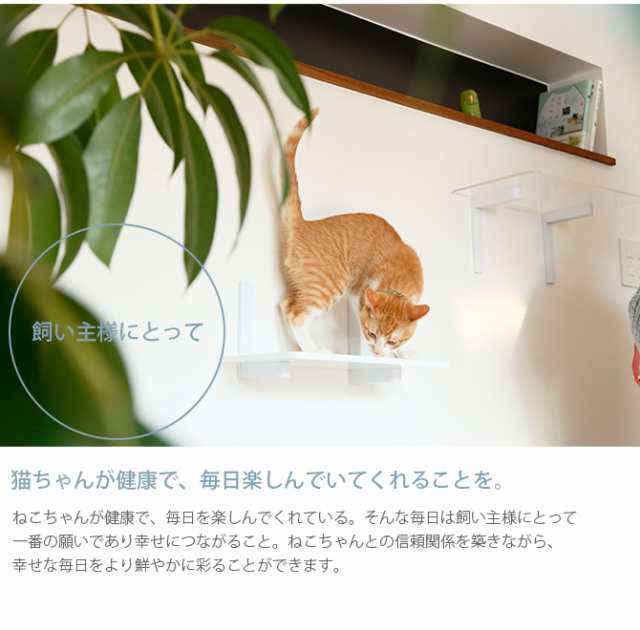 animacolle キャットステップ白2点キャットハンモック1点 - 猫用品