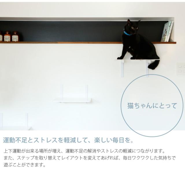 animacolle(アニマコレ) キャットトンネル animacolle アニマコレ Catroad+ キャットトンネル | 商品種別