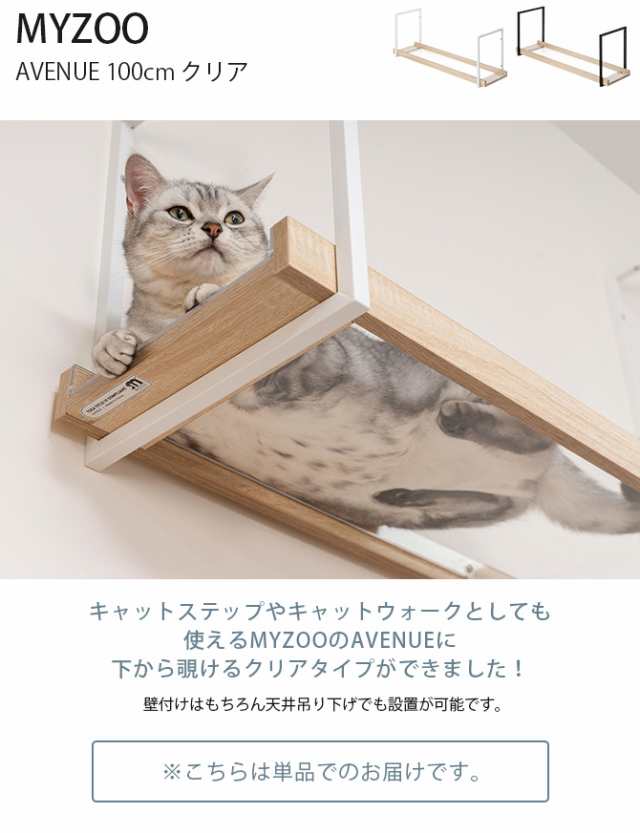 MYZOO マイズー AVENUE 100cm クリア 猫用 猫 キャットステップ