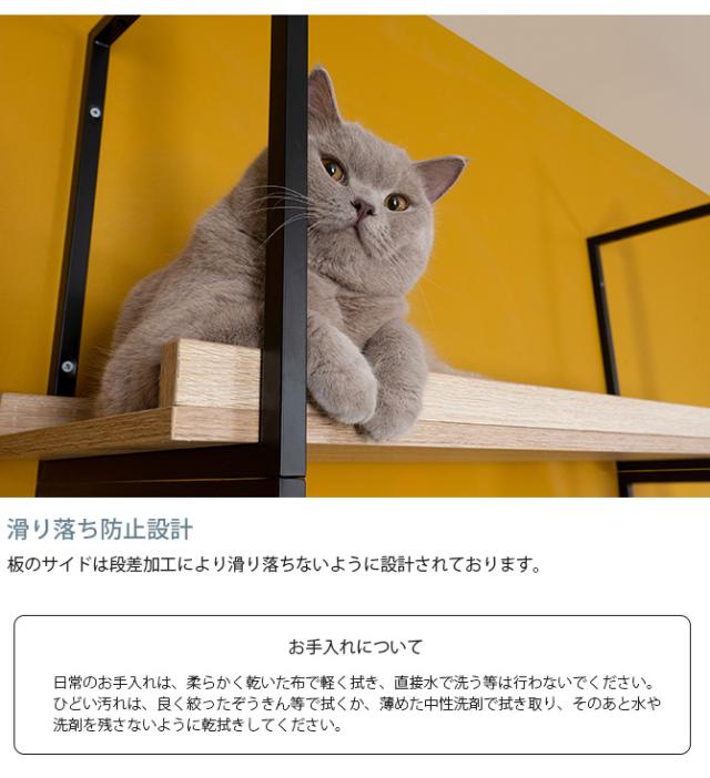 MYZOO マイズー AVENUE 100cm クリア  猫用 猫 キャットステップ キャットウォーク クリア 透明 おしゃれ ウォールシェルフ 天井 北欧_4