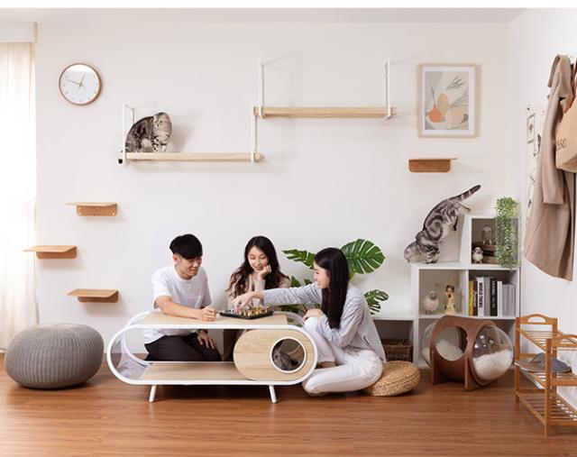 MYZOO マイズー AVENUE 100cm クリア  猫用 猫 キャットステップ キャットウォーク クリア 透明 おしゃれ ウォールシェルフ 天井 北欧_8