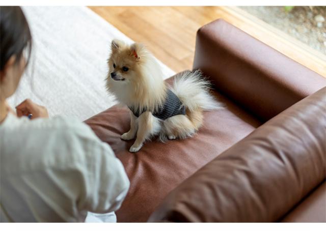 Fumi フミ コンセントの付いたソファ ペット対応素材 交換用カバー 【本体別売】  ソファカバー ペット 犬 猫 引っかきに強い 撥水 洗える 生地 レザー調 ビンテージ_7