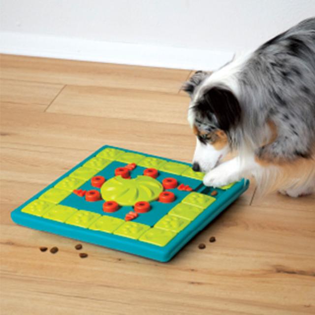 Nina ottosson ニーナ・オットソン マルチパズル  ペットトイ 犬 おもちゃ 知育 トリーツゲーム おしゃれ インテリア ギフト プレゼント かわいい  の通販はおもちゃ・アジリティ