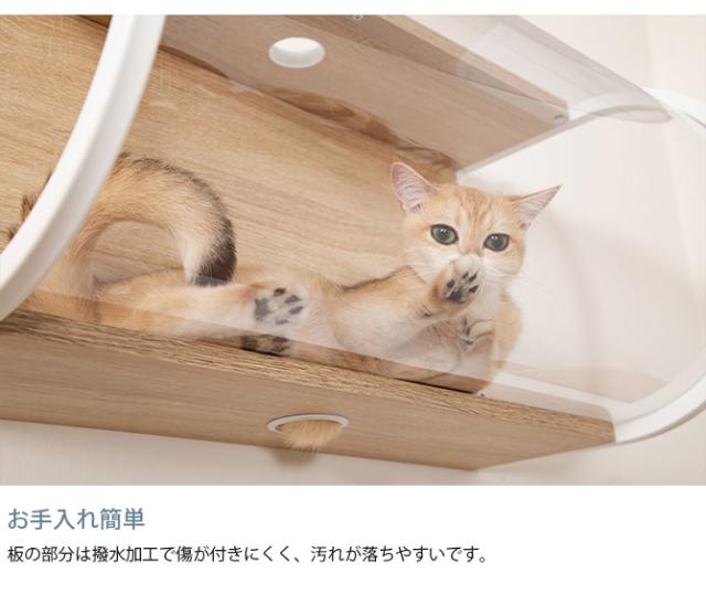 MYZOO マイズー Tunnel 猫用 猫 キャットステップ キャットウォーク